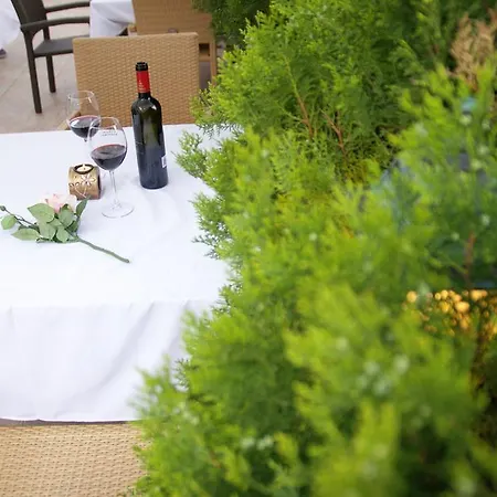 Sany 酒店 普里莫尔斯科